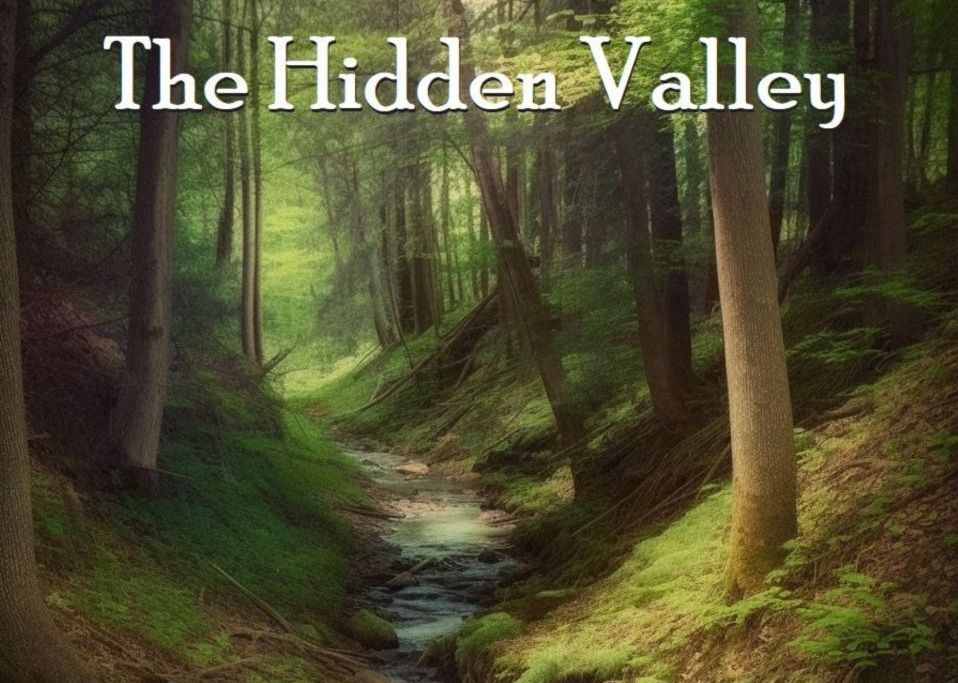 The Hidden Valley by Christine Hillingdon