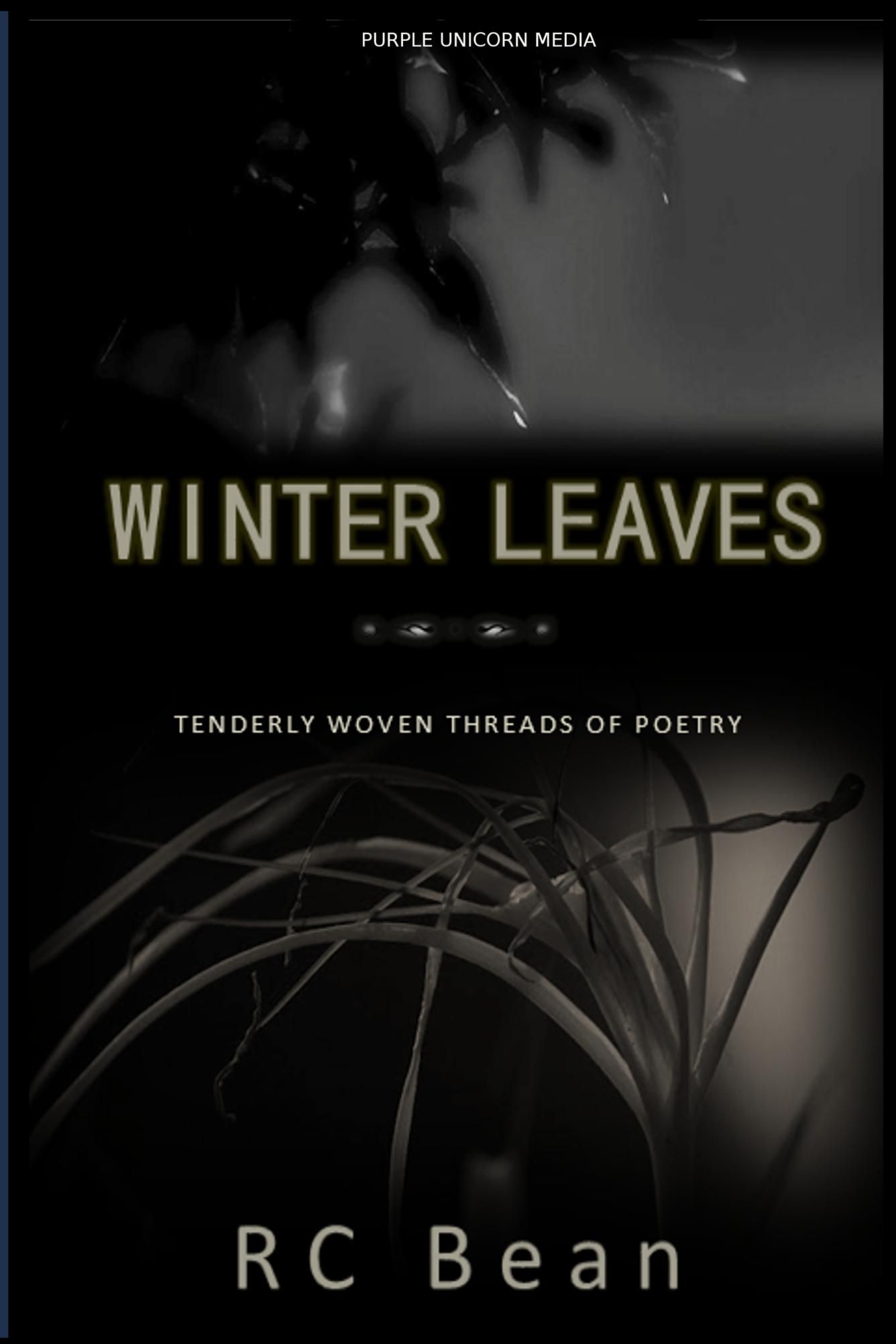 Winter Leaves by R C Bean